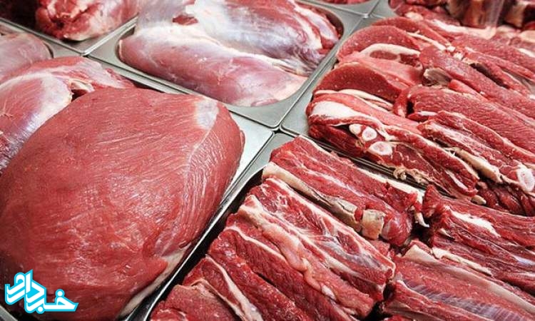 واردات گوشت افزایش یافت