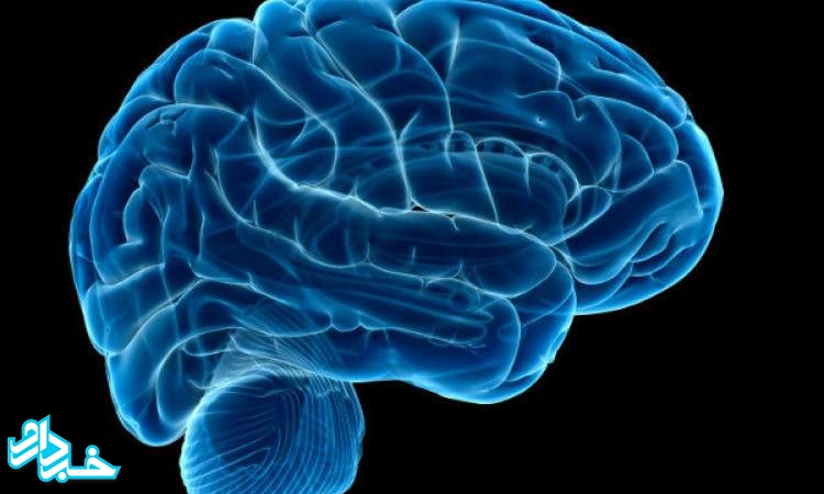 تحریک الکتریکی، مغز را ۵۰ سال جوان‌تر می‌کند