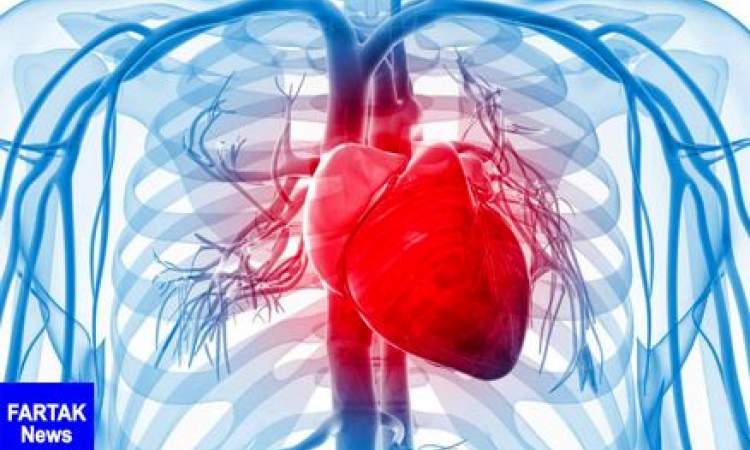 خطر بالای ابتلا به بیماری های قلبی در کدام زنان بیشتر است؟