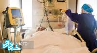 رئیس بیمارستان: آمار بستری بیماران بدحال در بیمارستان امام رضا(ع) مشهد رو به افزایش است