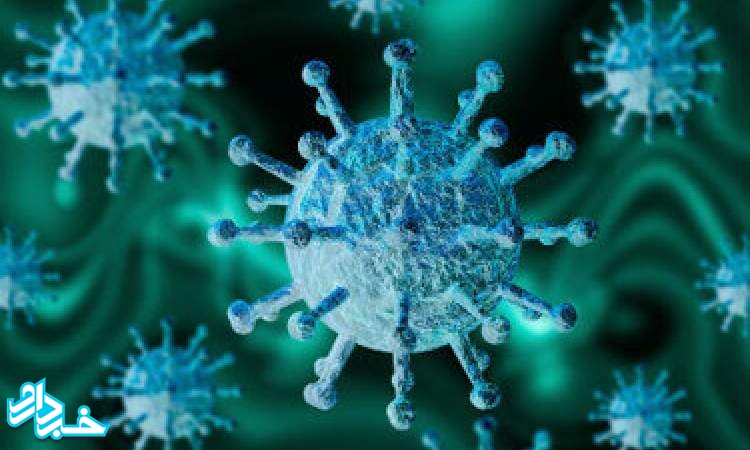 معرفی عضو جدید خانواده "کرونا ویروس‌"ها به جامعه جهانی/مردم را برای زندگی با ویروس آماده کنیم
