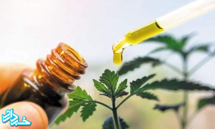 مجوز تولید موقت برای ۲ داروی گیاهی موثر در بهبود علائم کرونا
