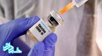 سازمان غذا و دارو: هنوز مجوزی برای مطالعات انسانی واکسن کرونا صادر نکرده ایم