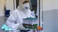 محققان ایرانی به دانش ساخت واکسن کرونا دست یافتند