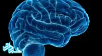 تحریک الکتریکی، مغز را ۵۰ سال جوان‌تر می‌کند