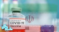 واکسن ایرانی کرونا دو مرحله تا تولید انبوه فاصله دارد