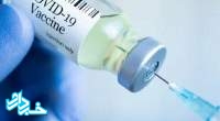 برنامه‌ریزی برای تحویل ماهانه دو میلیون دز واکسن کرونای «پاستوکووک» / شرط پیش خرید واکسن‌های تولید داخل