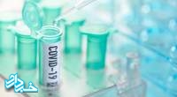 ژاپن، آزمایش داخلی روی یک واکسن کرونا را آغاز می‌کند