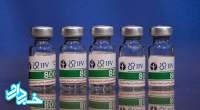 برنامه‌ریزی برای تحویل ۸ میلیون دُز واکسن پاستوکووک به وزارت بهداشت