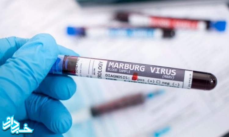 تایید اولین موارد فوت ناشی از ویروس مرگبار ماربورگ