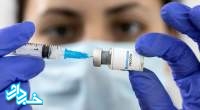 آلمان برای واکسیناسیون سریع آبله میمون آماده می شود