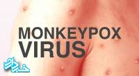 توصیه های وزارت بهداشت به مسافران در خصوص آبله میمون