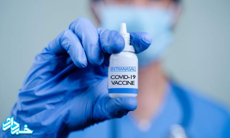 تایید واکسن استنشاقی کرونا در هند