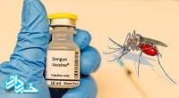 تایید دومین واکسن تولید شده در جهان برای تب دنگی